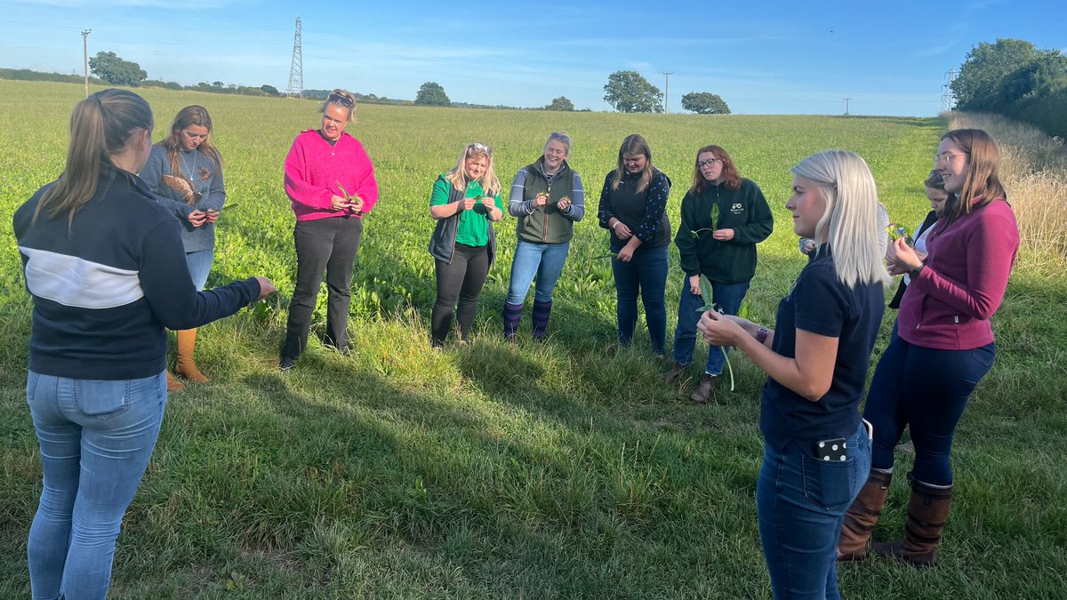 LEAF_Farming's tweet photo. 📢📢Calling all farmers!
We have limited spaces left on our CEVAS course in Alcester on Jan 24 & 27!🚜
Get practical tips and advice on how to deliver safe, fun and unforgettable farm visits. #WeEducate
Reserve your spot now >>> https://t.co/yJ1gxcvZUi #FarmEducation #CEVAS https://t.co/Be10X65GFA