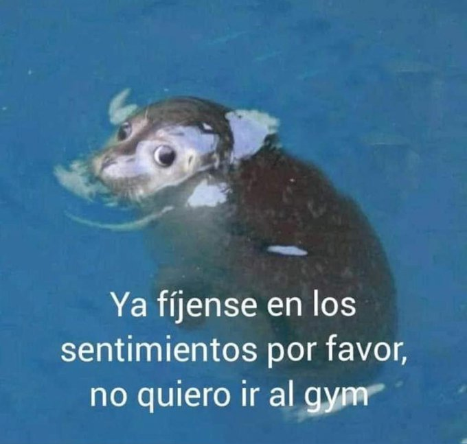 cartonero (@flanchota) on Twitter photo 