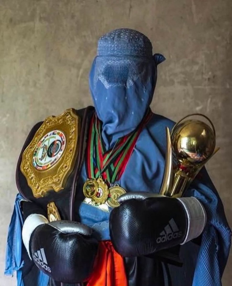 marzieh hamidi tweet media