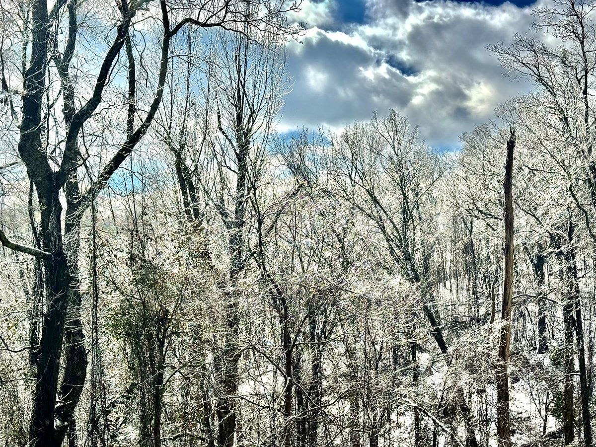 YOUNGTY's tweet image. Beautiful scenes from
Goodner Mountain-Trussville/Pinson from the Jan 10 snow event @NWSBirmingham