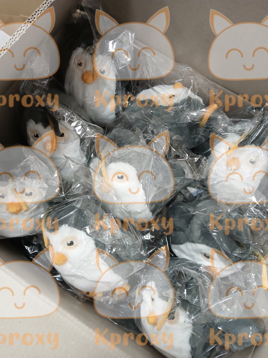 kproxy_'s tweet photo. #kproxy_proof
ZZirang-e & Charles POP-UP STORE
Official MD OFFLINE PROXY SERVICE 대리구매 양도
Thank you so much for trusting us 😍😍😍 https://t.co/NGUHlTNnDT