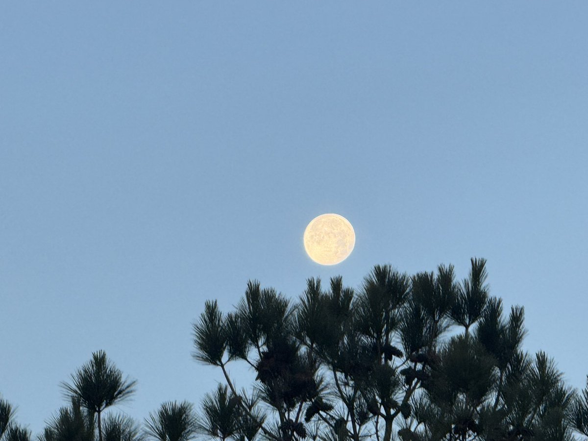 YOUNGTY's tweet image. Beautiful morning full moon over Trussville @WBRCnews @megtomwx @LaurenLinahan @weswyattweather @toniatalkss @MikeDubberlyGDA @WBRCweather @WBRC6Clare