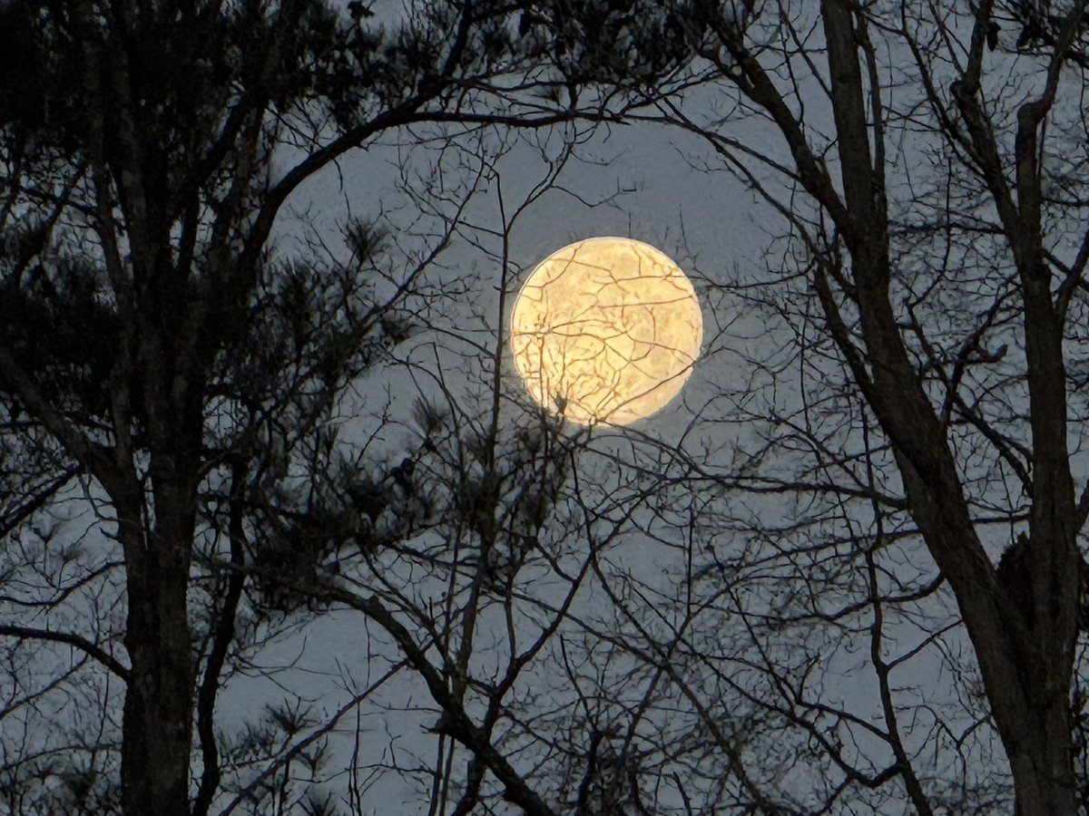 YOUNGTY's tweet image. Beautiful morning full moon over Trussville @WBRCnews @megtomwx @LaurenLinahan @weswyattweather @toniatalkss @MikeDubberlyGDA @WBRCweather @WBRC6Clare