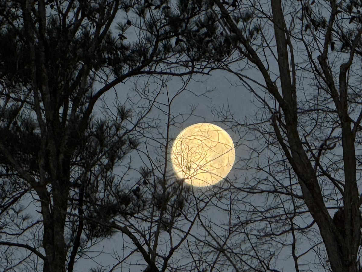 YOUNGTY's tweet image. Beautiful morning full moon over Trussville @WBRCnews @megtomwx @LaurenLinahan @weswyattweather @toniatalkss @MikeDubberlyGDA @WBRCweather @WBRC6Clare