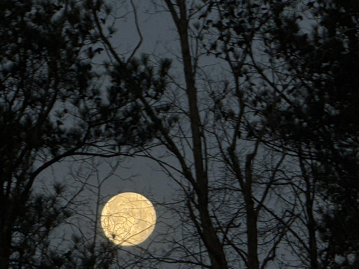 YOUNGTY's tweet image. Beautiful morning full moon over Trussville @WBRCnews @megtomwx @LaurenLinahan @weswyattweather @toniatalkss @MikeDubberlyGDA @WBRCweather @WBRC6Clare