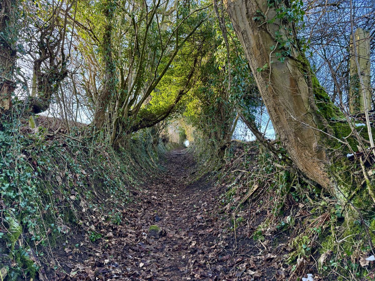 Part of a long-distance packhorse route that can be traced from Ashover to Wirksworth. Ashover parish used to be much larger &amp; included Holloway, Lea &amp; Dethick. St John's church at Dethick was built as a private chapel, so Ashover was used for burials. #hollowaywednesday