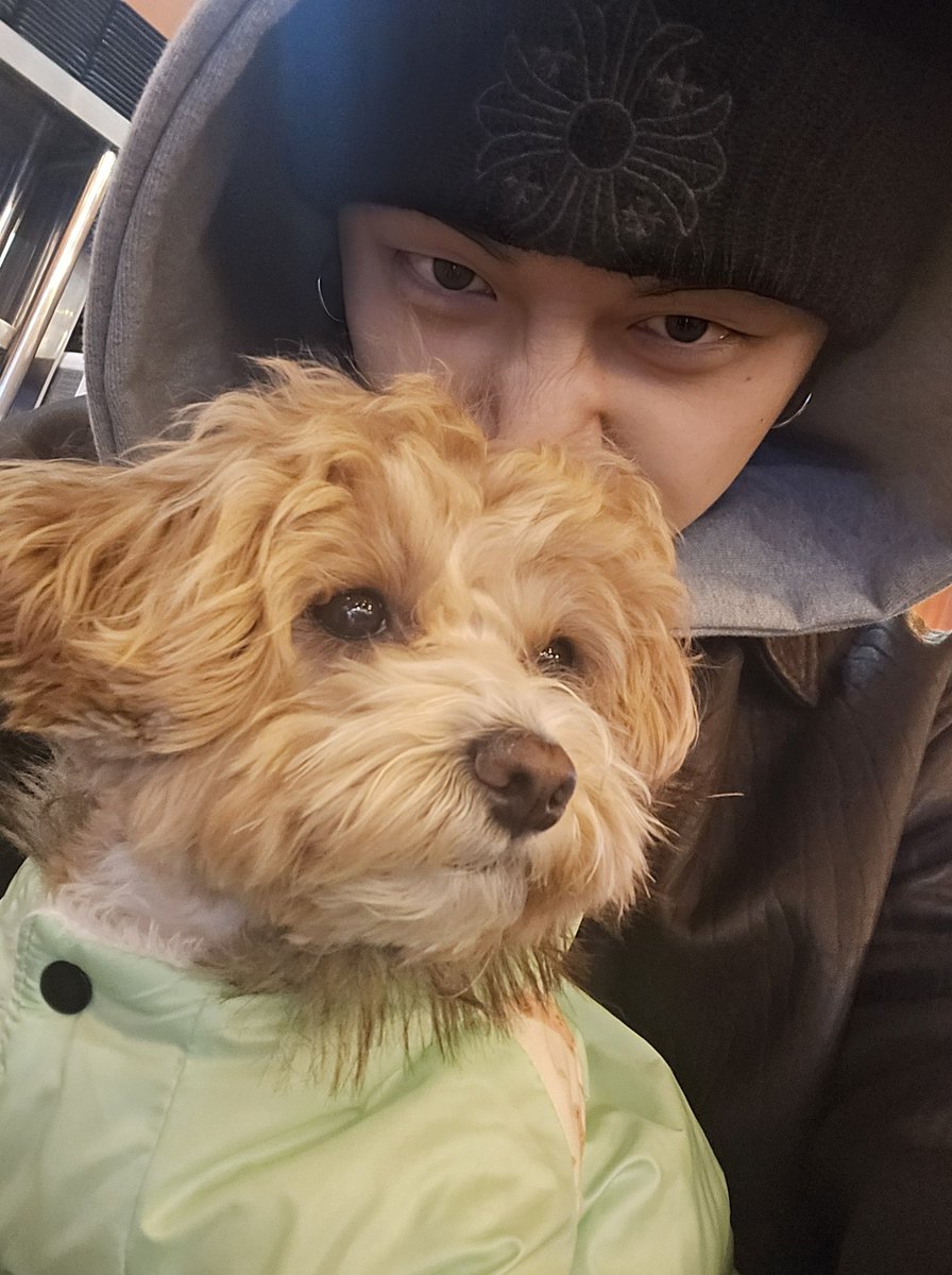 ᨳ 𝗗𝗲𝗷𝗮𝘃𝘂 tweet media