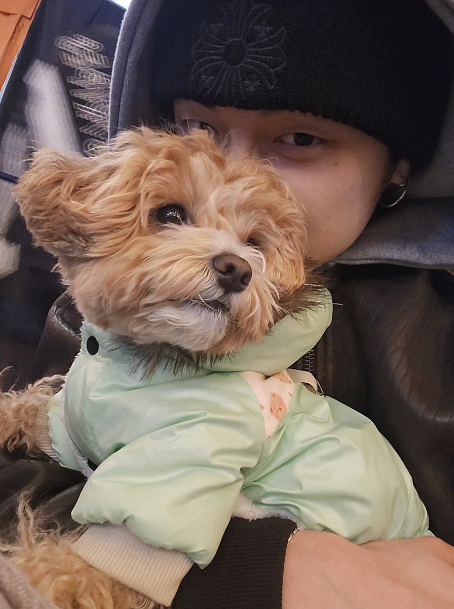 ᨳ 𝗗𝗲𝗷𝗮𝘃𝘂 tweet media