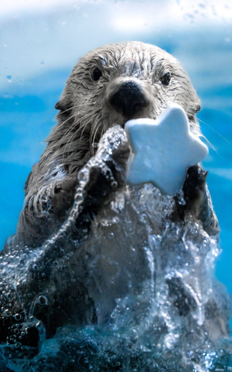 写真長押しして4Kを読み込んで待ち受け用にどうぞ