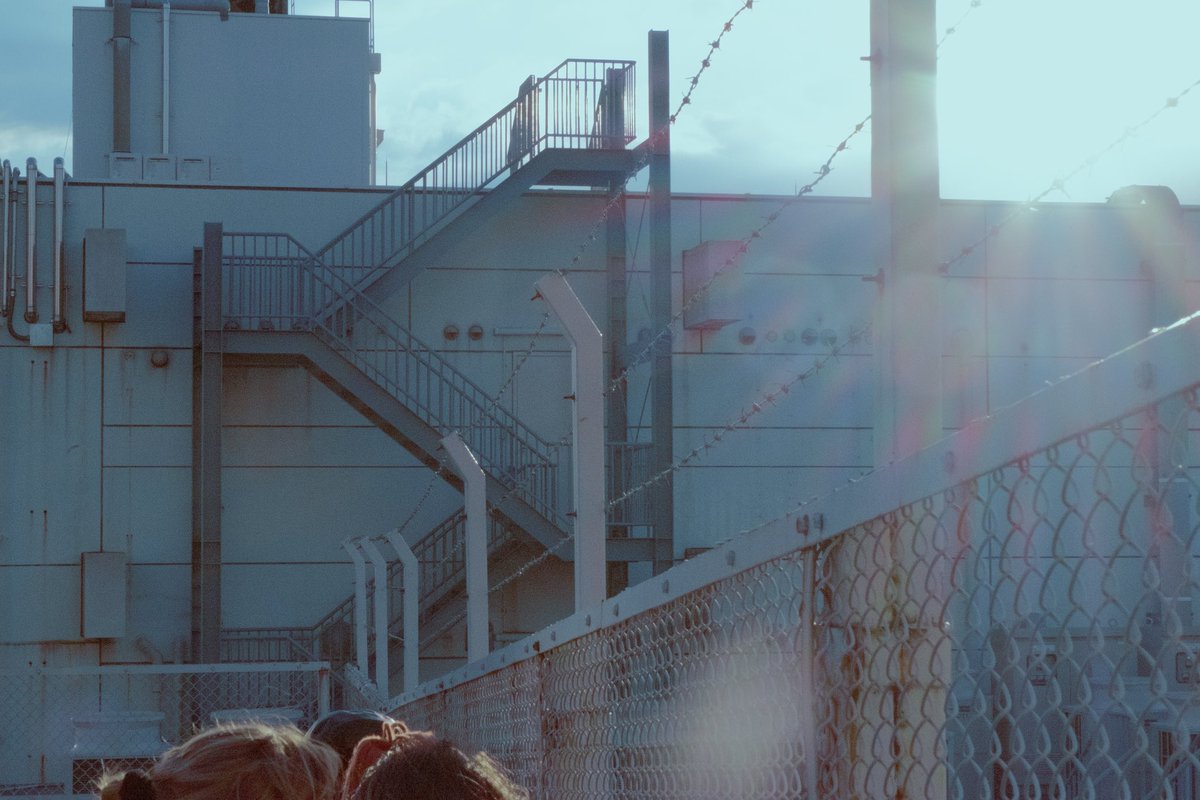 esoterica (@analog_emoji) on Twitter photo 