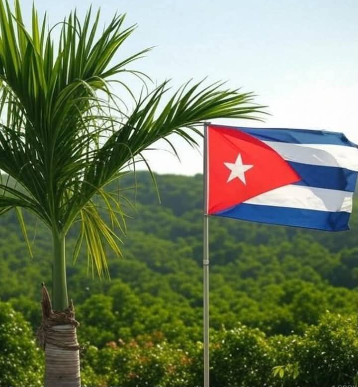 Buenos días desde #Cuba 🇨🇺 
Aunque ya no estamos en la lista de países supuestamente patrocinadores del terrorismo, seguimos en la batalla contra el bloqueo. #TumbaElBloqueo