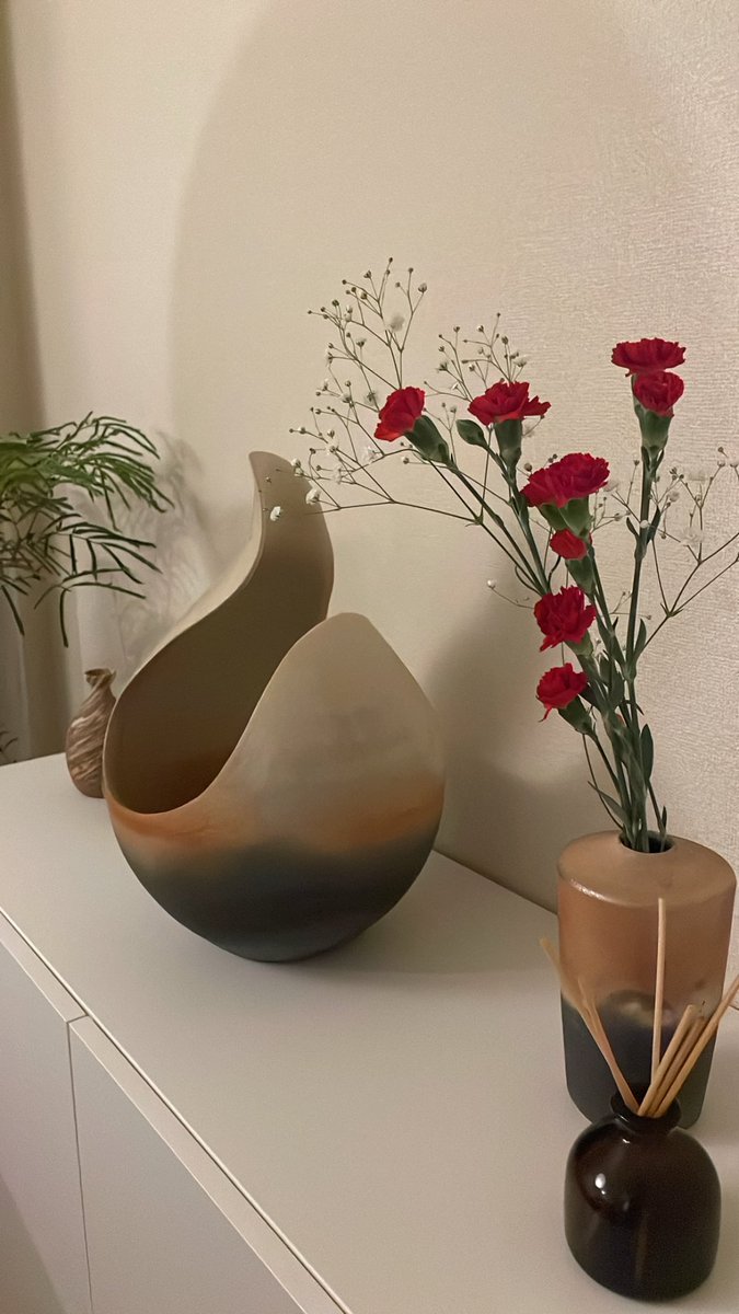 RDWPS96's tweet photo. 家にグリーンやお花を飾ってみてる
私もそんな歳になったんだナ

新たに迎えたエバーフレッシュが
とても良い。 https://t.co/EHpPcUply1