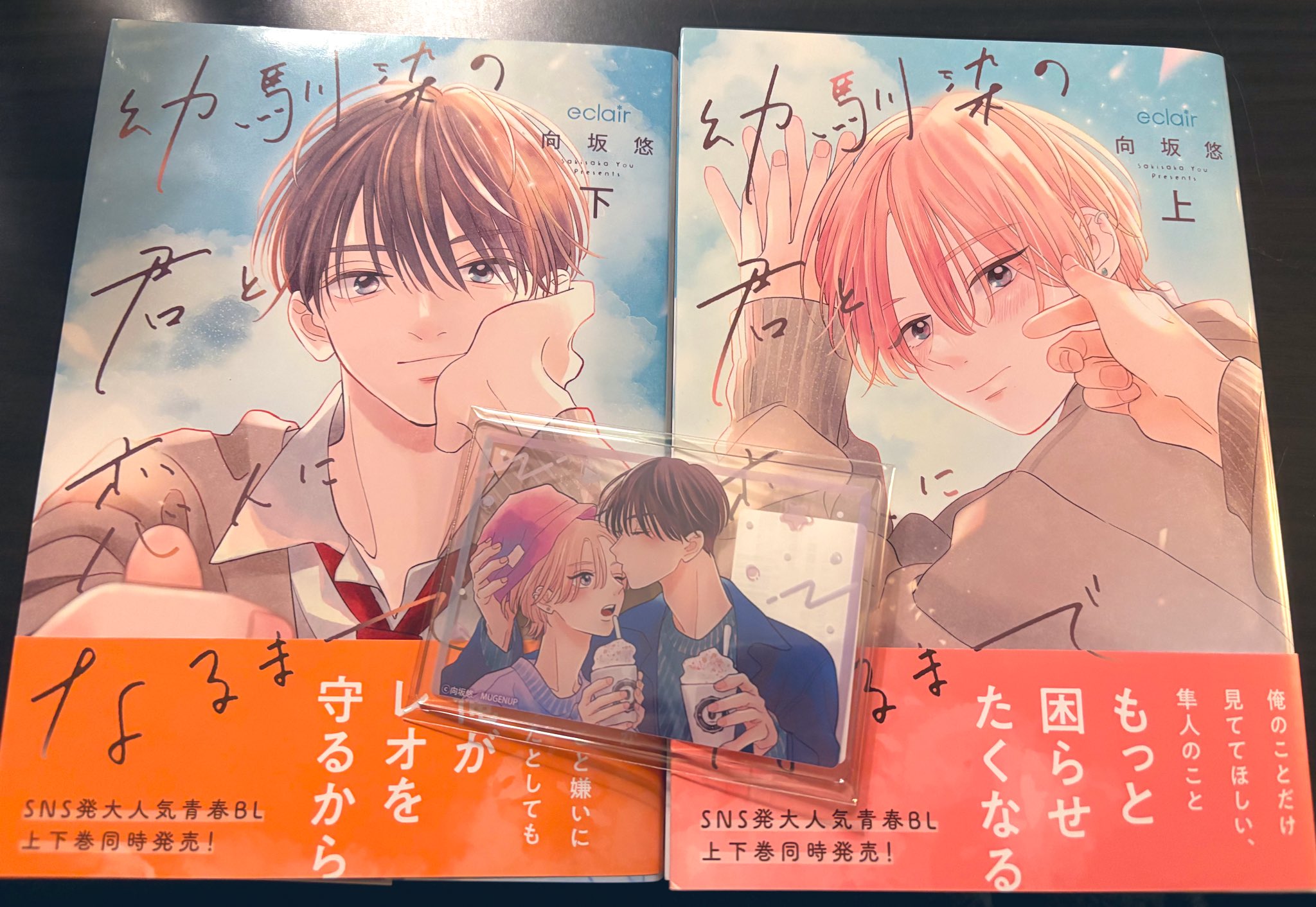 人気商品 BL 向坂悠『幼馴染の君と、恋に落ちるまで 上下』 くろし ボーイズラブ(BL)