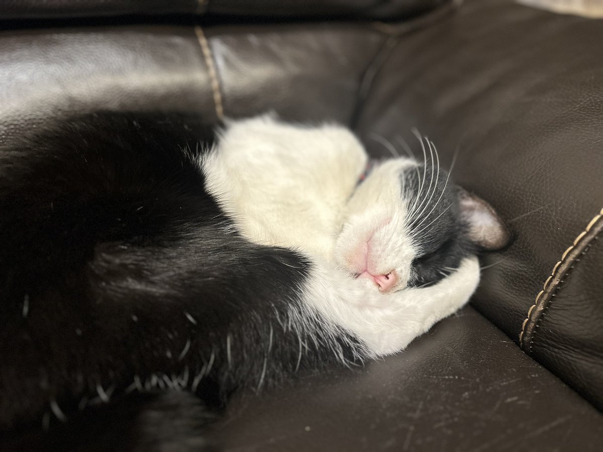 呼んでも反応しないくらいお疲れの模様