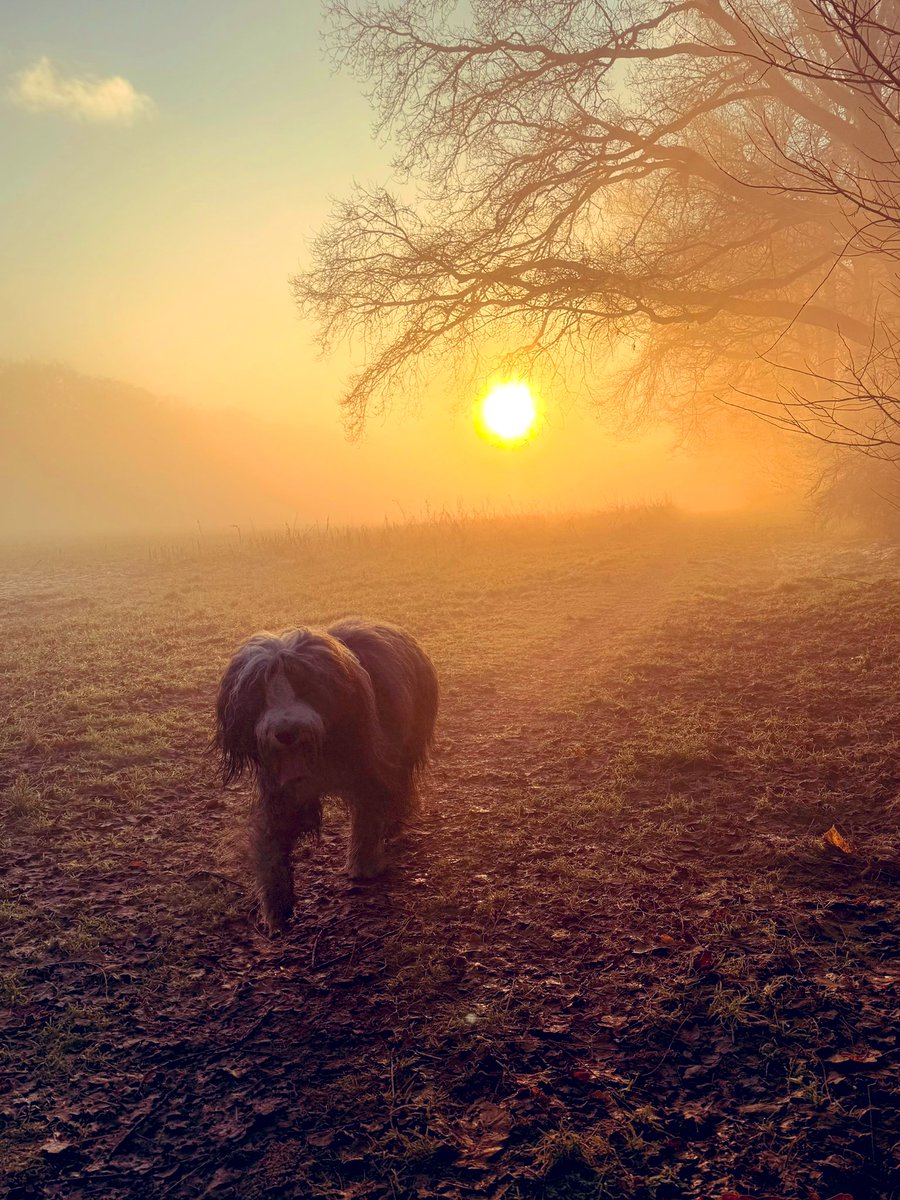 Frank Jongejan 🗽 (@frankjongejan) on Twitter photo 