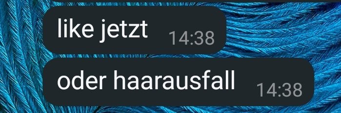 fabegod's tweet photo. @dahendriik @naomiseibt @elonmusk Guter Tweet, Hendrik! Da hast du dir meinen Like reichlich verdient (bitte ich möchte meine Haarpracht behalten) https://t.co/aikOQwbnnI
