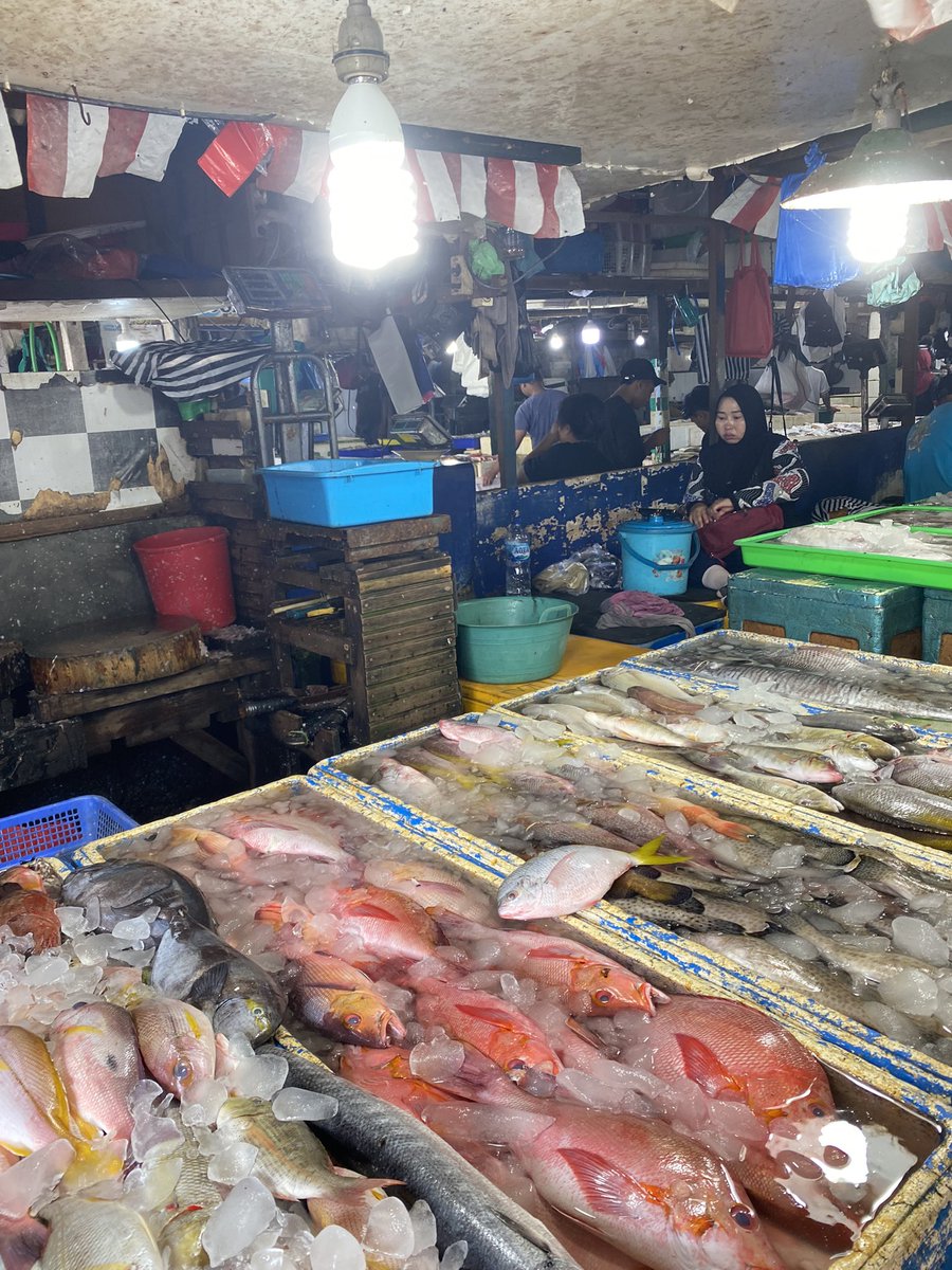 Thenameoflin's tweet photo. 📍Pasar Kedonganan - Rp 60rb-an/org

Life hack kalo mau makan seafood murah ya beli ikannya disini, aku beli 1/2 udang, 1/4 cumi, 1/4kerang, 1 ikan ekor kuning perorang habis 60rban. Ikannya fresh semua &amp; harus pinter2 nawar ya pokoknya🤣 https://t.co/c1MzTOe0iJ