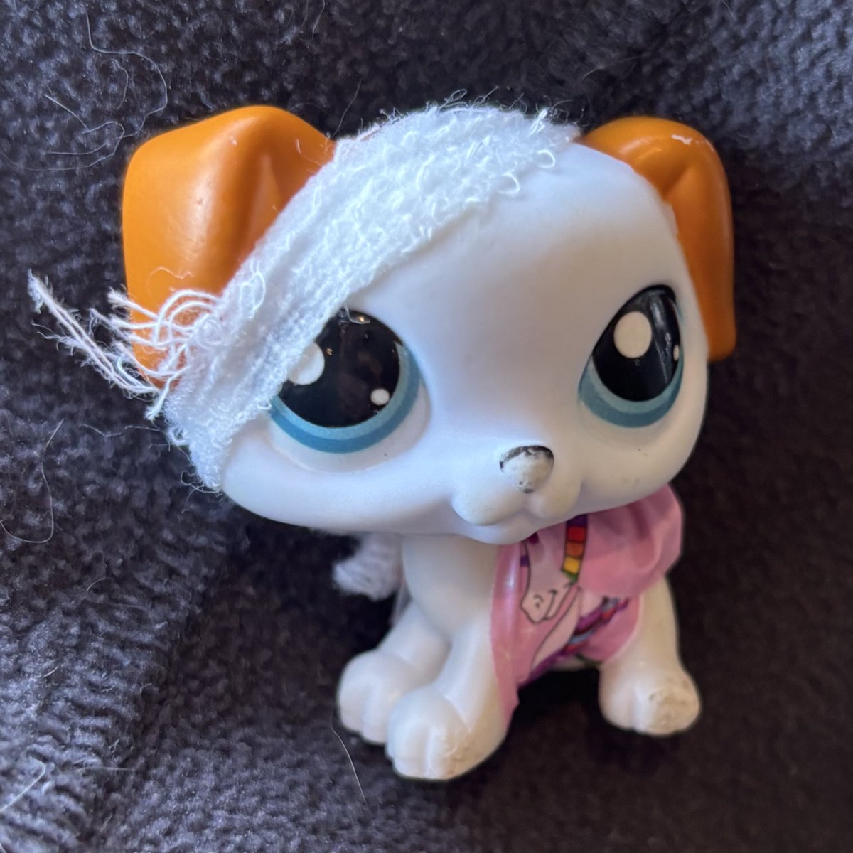 pocketlps's tweet photo. he's recovering https://t.co/UtpqJm99IV