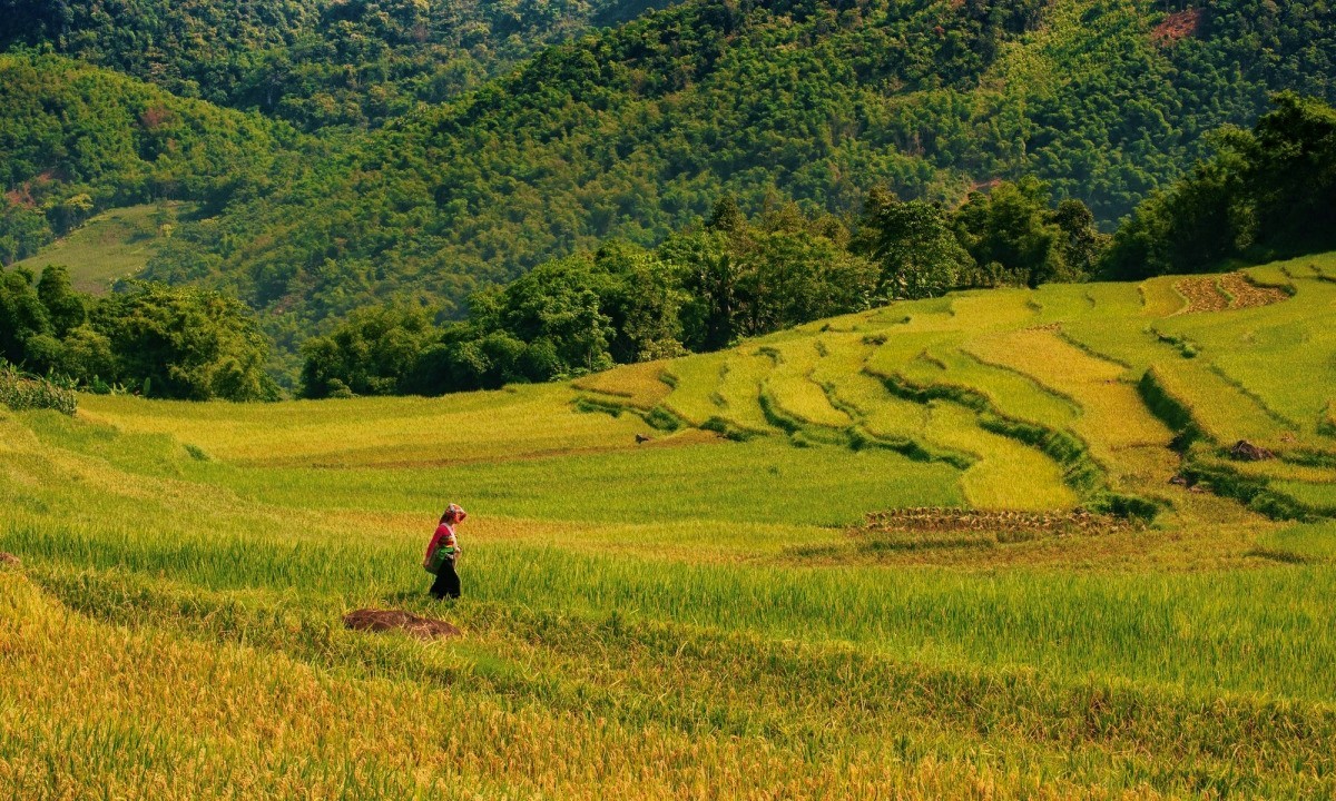 @IntDevMU (@intdevmu) on Twitter photo On the Screen, Off the Page: Life as a girl in Upland Northern Vietnam
Check out our latest blog by Tran Thi Nhan Duyen, MA in International Development Participant
…othinternationaldevelopment.home.blog/2025/01/13/on-…
<a href="/ICOSirl/">Irish Council for International Students (ICOS)</a> <a href="/dfatirl/">Irish Foreign Ministry</a> <a href="/MU_PostGrad/">Maynooth University Postgraduate Studies</a> <a href="/CGEbelfast/">Centre for Global Ed</a> On the Screen, Off the Page: Life as a girl in Upland Northern Vietnam
Check out our latest blog by Tran Thi Nhan Duyen, MA in International Development Participant
…othinternationaldevelopment.home.blog/2025/01/13/on-…
<a href="/ICOSirl/">Irish Council for International Students (ICOS)</a> <a href="/dfatirl/">Irish Foreign Ministry</a> <a href="/MU_PostGrad/">Maynooth University Postgraduate Studies</a> <a href="/CGEbelfast/">Centre for Global Ed</a>