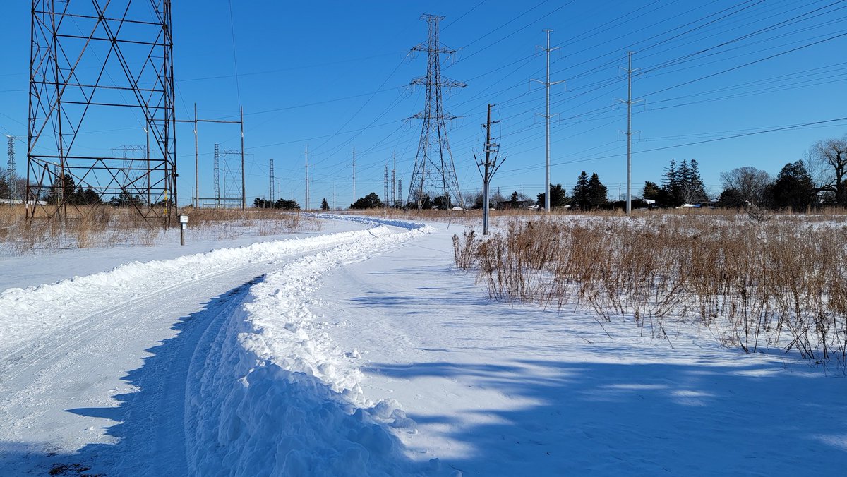 TheMeadoway tweet media