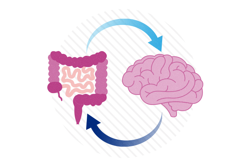 Psychology at Memorial University (@mun_psychology) on Twitter photo Congratulations to <a href="/SaliaStephanie/">Stephanie Salia</a>, <a href="/SwiftNeuroLab/">Ashlyn Swift-Gallant</a> and <a href="/WallingNeuroLab/">Susan Walling</a> on their new study investigating the relationships between the gut microbiome and the preclinical maternal immune activation model of autism spectrum disorder!
Read more here: doi.org/10.1016/j.bbi.… Congratulations to <a href="/SaliaStephanie/">Stephanie Salia</a>, <a href="/SwiftNeuroLab/">Ashlyn Swift-Gallant</a> and <a href="/WallingNeuroLab/">Susan Walling</a> on their new study investigating the relationships between the gut microbiome and the preclinical maternal immune activation model of autism spectrum disorder!
Read more here: doi.org/10.1016/j.bbi.…