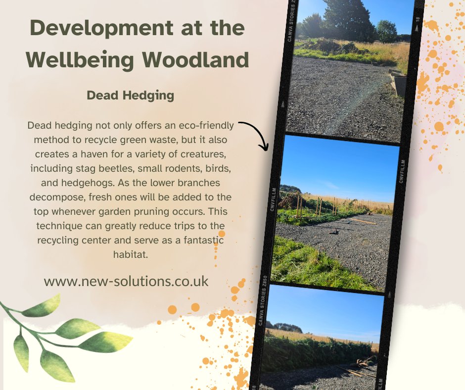 NEW Solutions CIC (@newsolutionscic) on Twitter photo  NEW Solutions CIC (@newsolutionscic) on Twitter photo