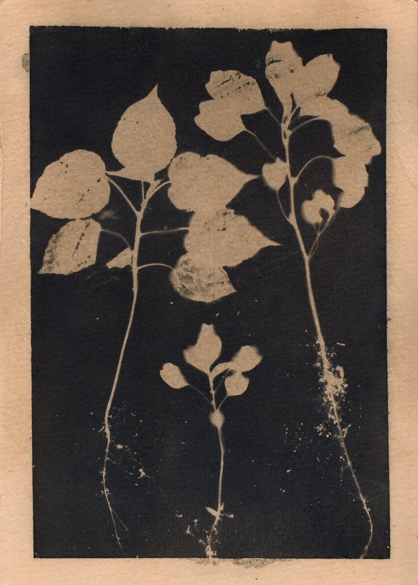 Ochie Winaga tweet media