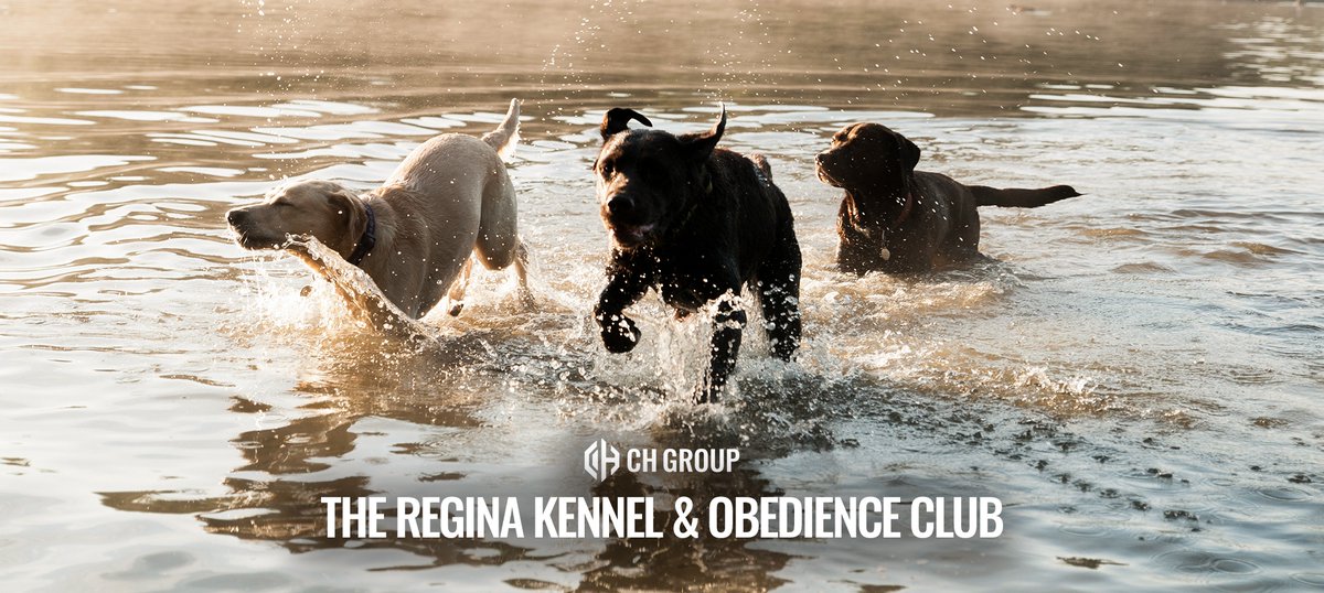 CHGroupRegina's tweet photo. Campbell &amp; Haliburton Group is excited to donate to the Regina Kennel and Obedience Club (RKOC), a non-profit organization whose mission is to teach children and adults how to train dogs to become great family companions.

https://t.co/V6dC6EBc53
#CHGroup #Regina #YQR #Insuran... https://t.co/jCb9Tirn2c