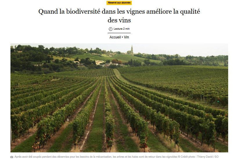 PrudhommeLoic's tweet photo. Bonne nouvelle hier dans @sudouest ! L'interprofession @VinsdeBordeaux partage l'évidence que nous répétons depuis des années aux cotés de collectifs et paysans : sans biodiversité, pas d'agriculture durable et qualitative possible ! Prochaine étape : s'attaquer aux pesticides ? https://t.co/CrejJzUQCU