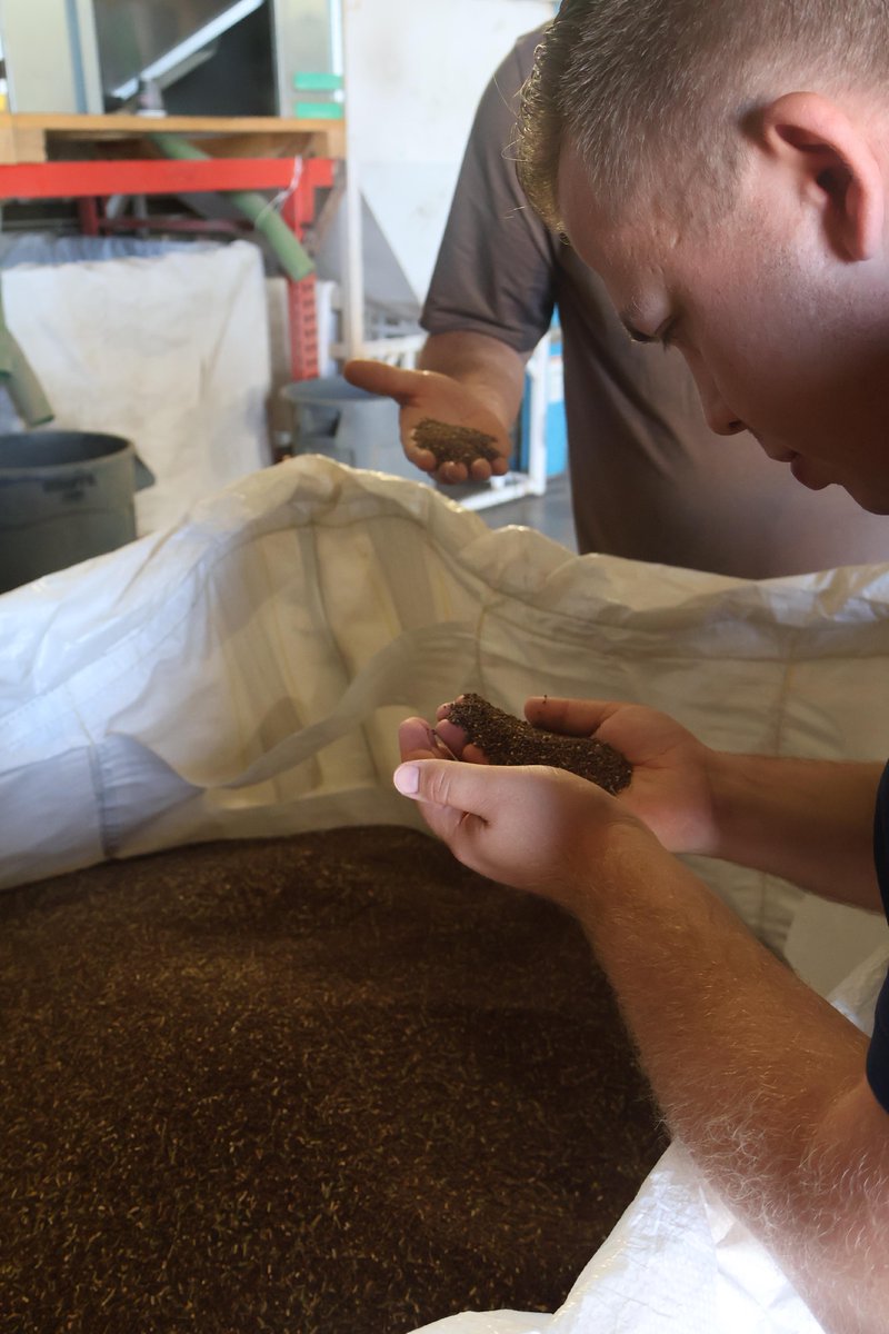 Maximizing crop yield has never been easier! Our rotary sorters help farmers sort seeds and grains quickly and accurately, ensuring only the best quality produce. Discover how our technology is revolutionizing agriculture. #AgTech #RotarySorting