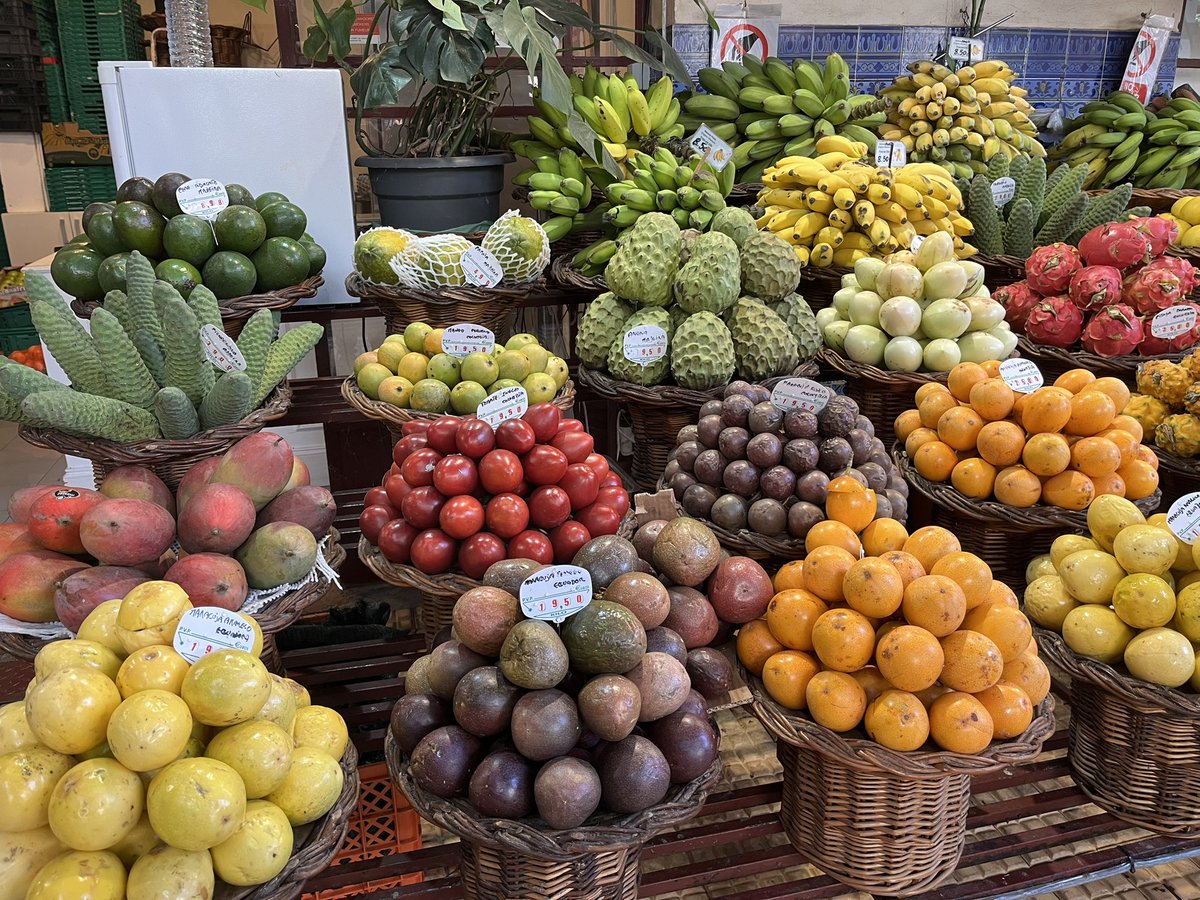 feierleiter's tweet photo. Funchal - Madeira https://t.co/AJTgRxw1vw