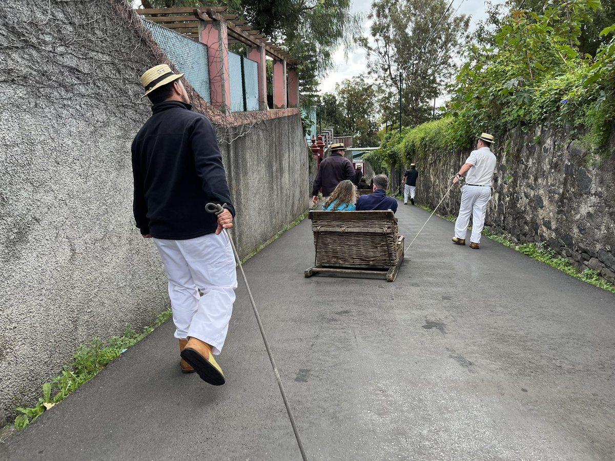 feierleiter's tweet photo. Funchal - Madeira https://t.co/AJTgRxw1vw
