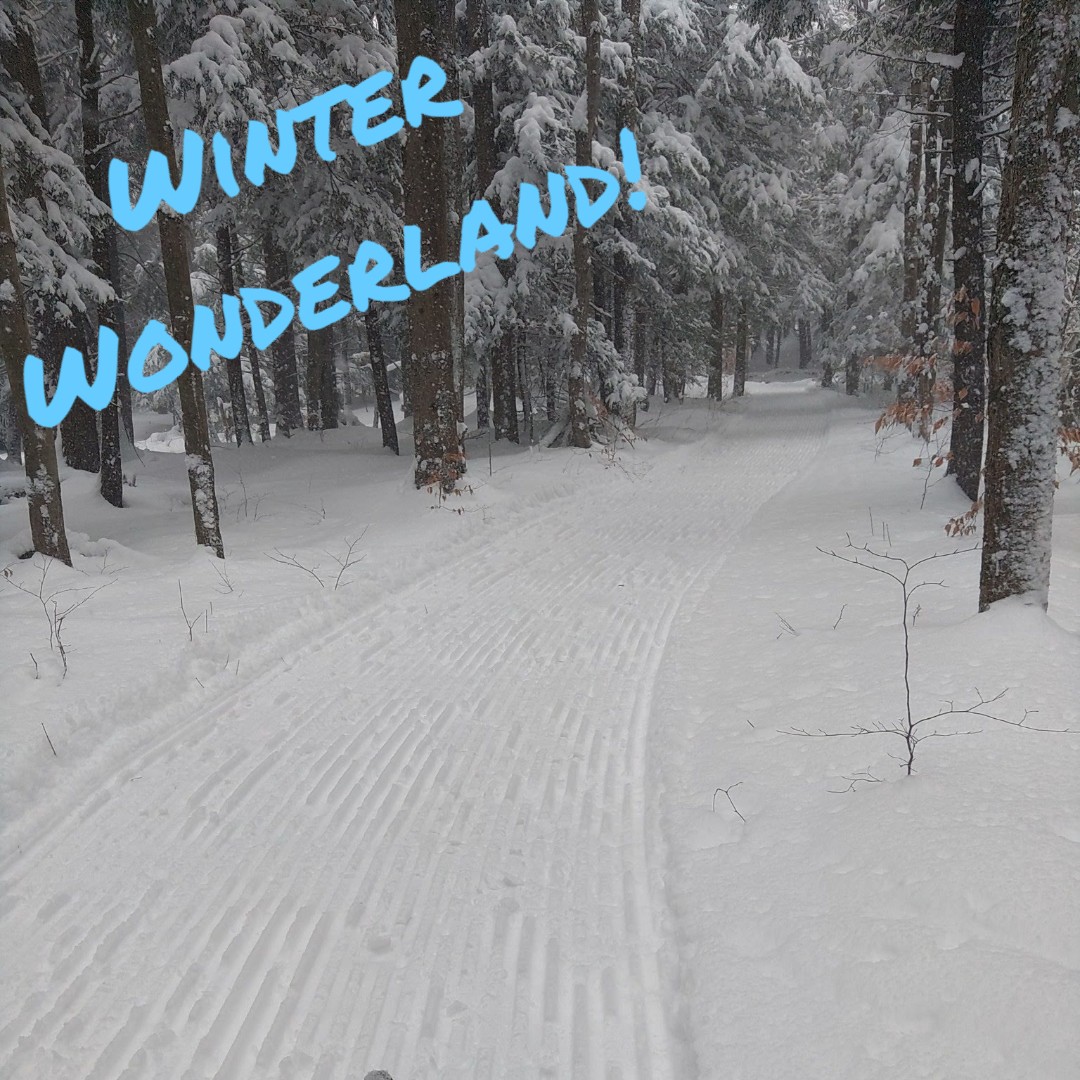 ErieCountyParks's tweet photo. Look at that freshly groomed xc ski trail at Sprague Brook Park! The park received a lovely coat of snow and is ready for fun! Please ensure you are using the correct trail for your equipment! With #10000AcresToExplore, there is plenty of room for everyone! https://t.co/wb3jc7o4ji