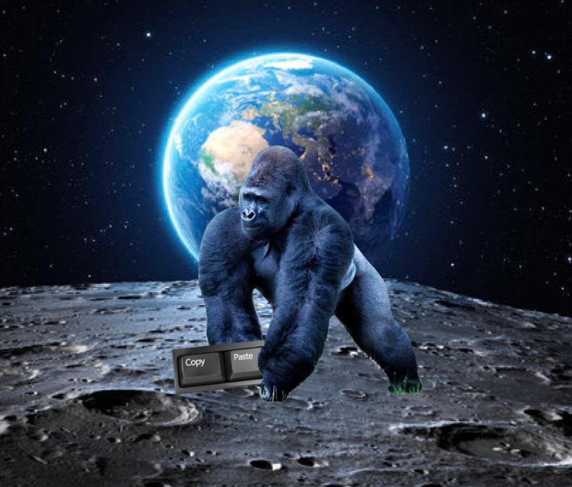 CopyPasteApe's tweet photo. $CPA EVEN AFTER MOON LANDING https://t.co/G37e0gIOx9