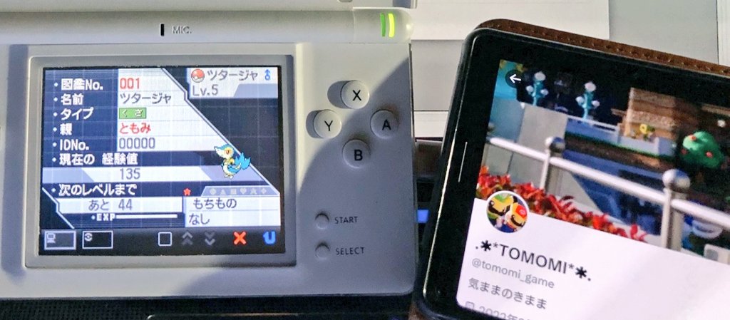 tomomi_game's tweet photo. もにょもにょした物でBW2御三家乱数調整しました
巳年のツタージャ君に決めた！(6V♂) https://t.co/nznbY34YJq