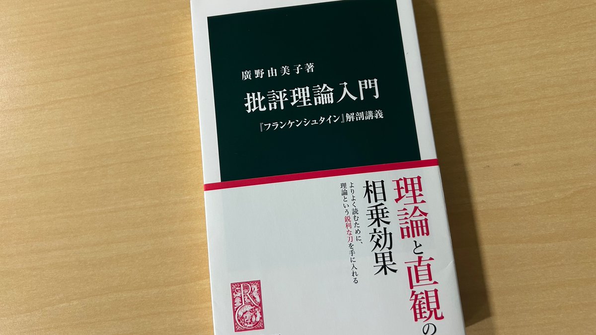 【中古】 批評理論と社会理論　1 廣野由美子『批評理論入門』。「小説技法篇」と「批評理論篇」を通し