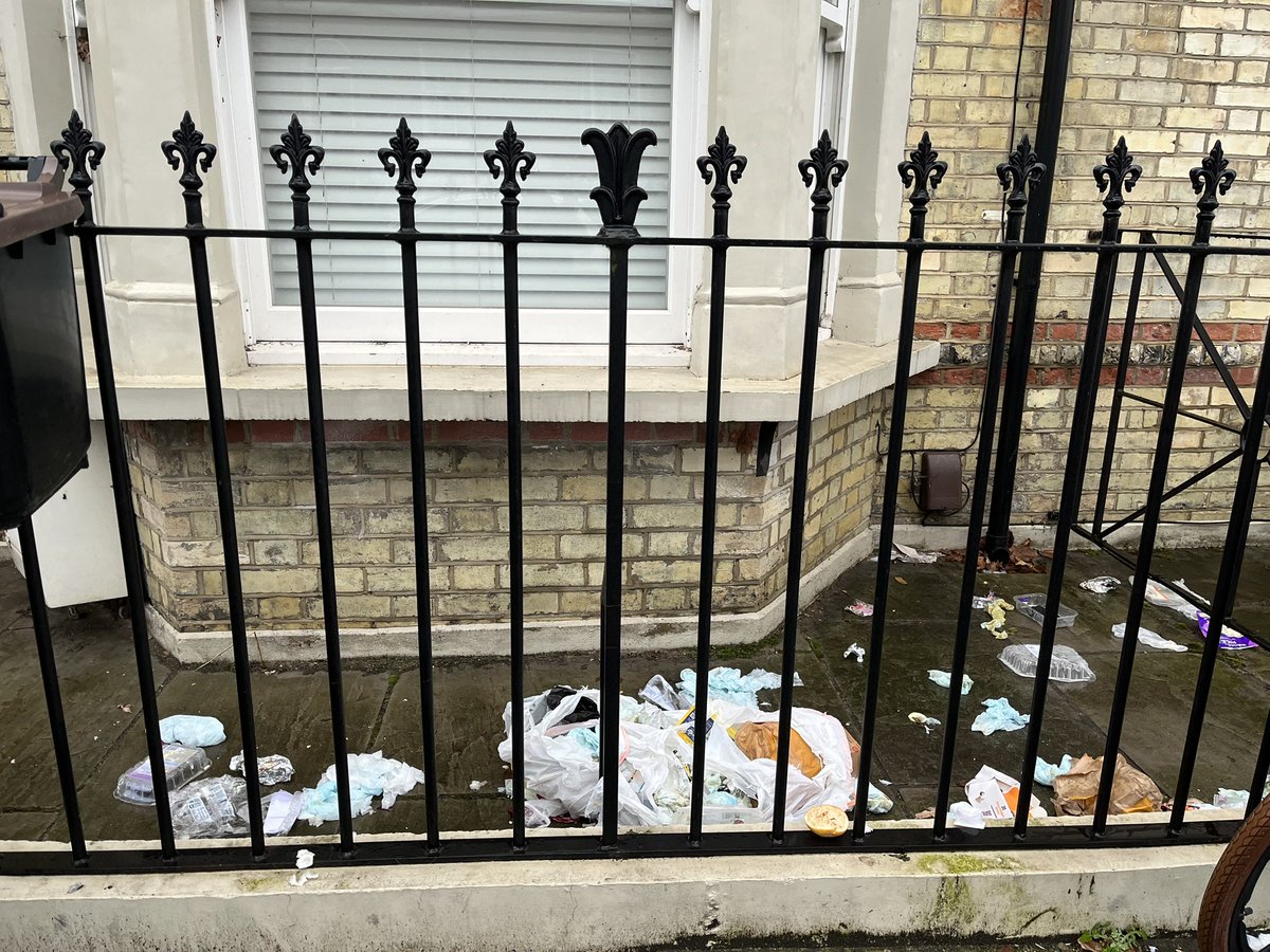 VvheyeVan's tweet photo. @LexadonProperty @lambeth_council @survivinglambet . The occupants of these houses leave their rubbish around all the time. The overflowing black bins have now been emptied but rubbish in #56 front still there  since Monday. In Rectory Gardens: fly tip Xmas trees. Unacceptable. https://t.co/ouTqhMFVzv