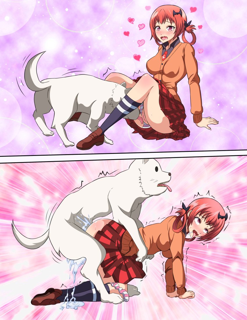 jackprottahh's tweet photo. ada kah yg punya fetish bestiality https://t.co/obJaqYHvbA