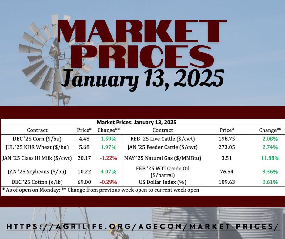 Stay informed on the latest shifts in agricultural commodity prices. Our regular updates give you the insight you need to make smarter, more strategic decisions.

agrilife.org/agecon/market-…