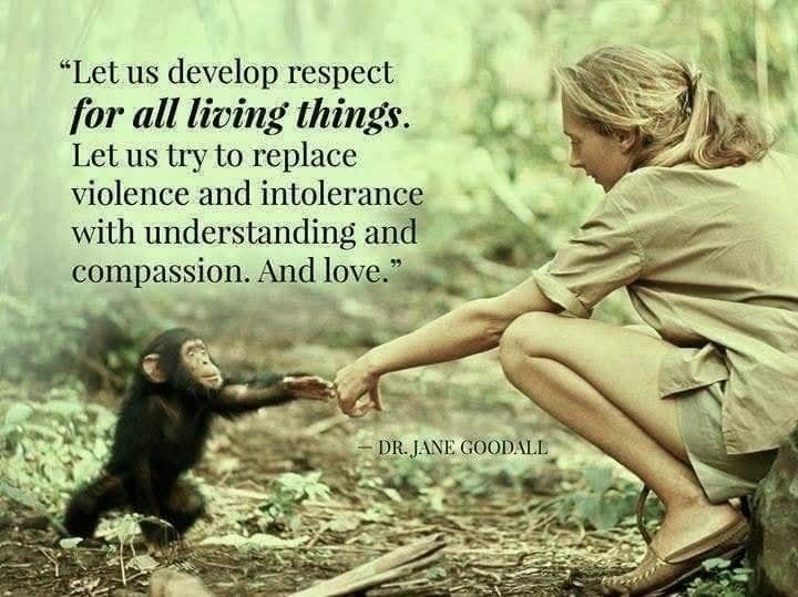 ☞Ivan Bartholomeus (@ivan_bart) on Twitter photo 