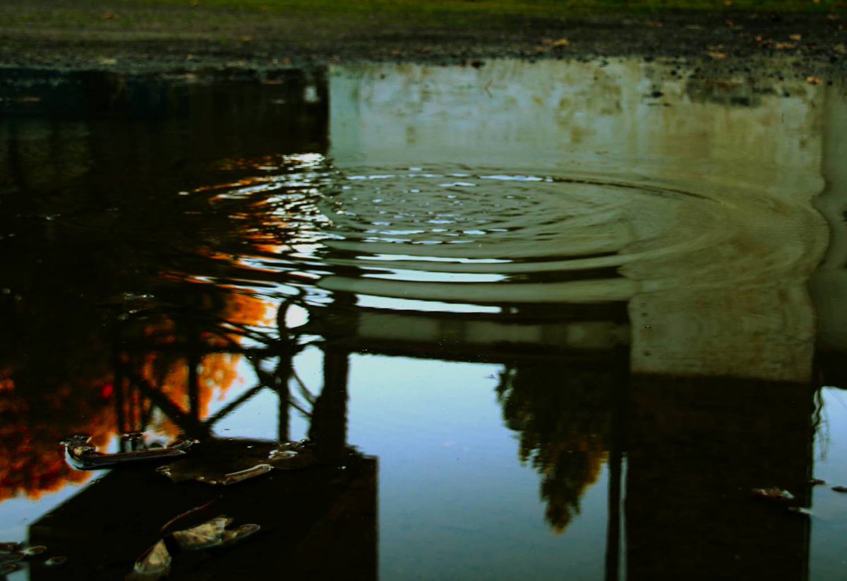 Blairgowrie HS Art (@blairgowrieart) on Twitter photo A huge congratulations to Jorja Kidd in S4. Her photograph featured below was a highly commended winner for the senior category in the recent Rotary Photography competition 'Wonderful Water'. π A huge congratulations to Jorja Kidd in S4. Her photograph featured below was a highly commended winner for the senior category in the recent Rotary Photography competition 'Wonderful Water'. π