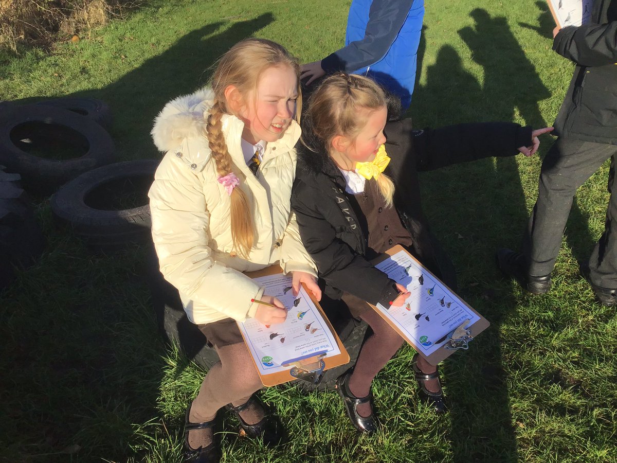 Y2Gayton's tweet photo. Big schools’ bird watch 2025. Thank you to our awesome bird watchers. We spotted lots of birds and were able to identify them all. https://t.co/KcKLOvqpku