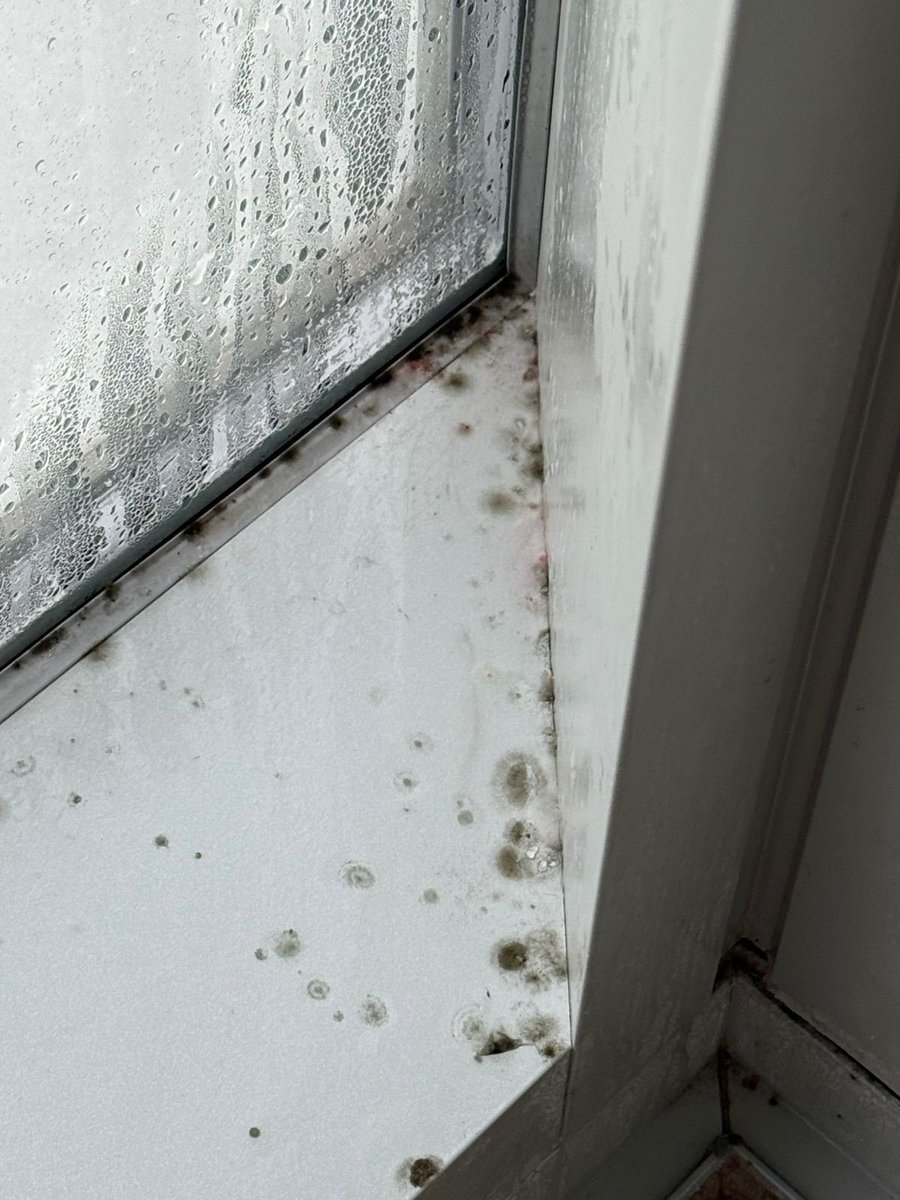 danarefai's tweet photo. Your total disregard to guest health &amp; safety is disgusting. After a week of my kids &amp; I getting ill, we discovered mold in the house. @Airbnb ignored it because I “missed the 72-hour window.” It’s your responsibility to ensure properties meet safety standards. #Airbnb #mold https://t.co/AZXFBeKAj1