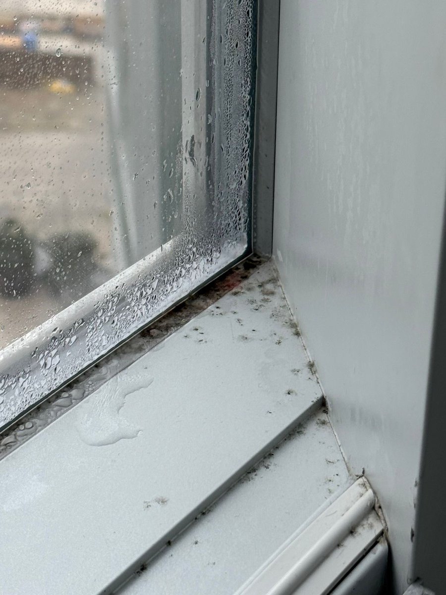 danarefai's tweet photo. Your total disregard to guest health &amp; safety is disgusting. After a week of my kids &amp; I getting ill, we discovered mold in the house. @Airbnb ignored it because I “missed the 72-hour window.” It’s your responsibility to ensure properties meet safety standards. #Airbnb #mold https://t.co/AZXFBeKAj1