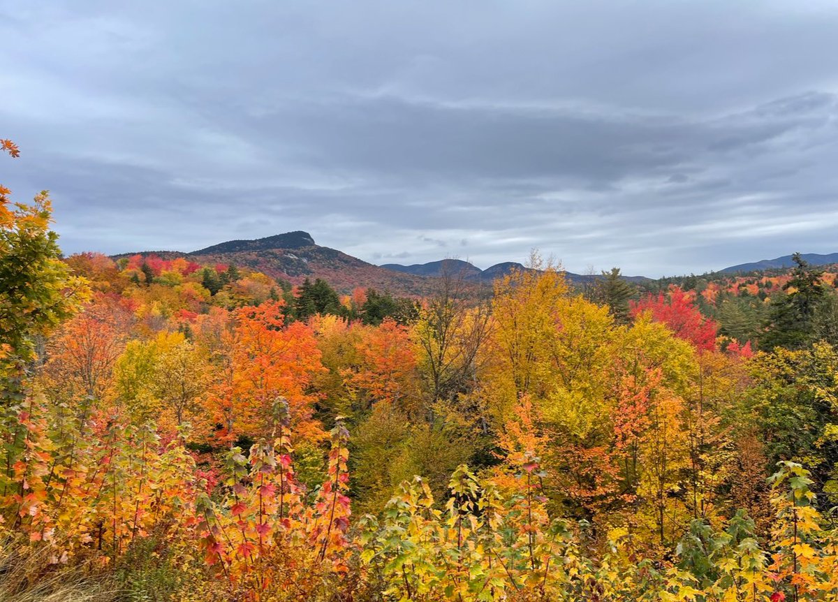 ๐ฅ๐๐๐พ๐
๐๐ ๐ป tweet media