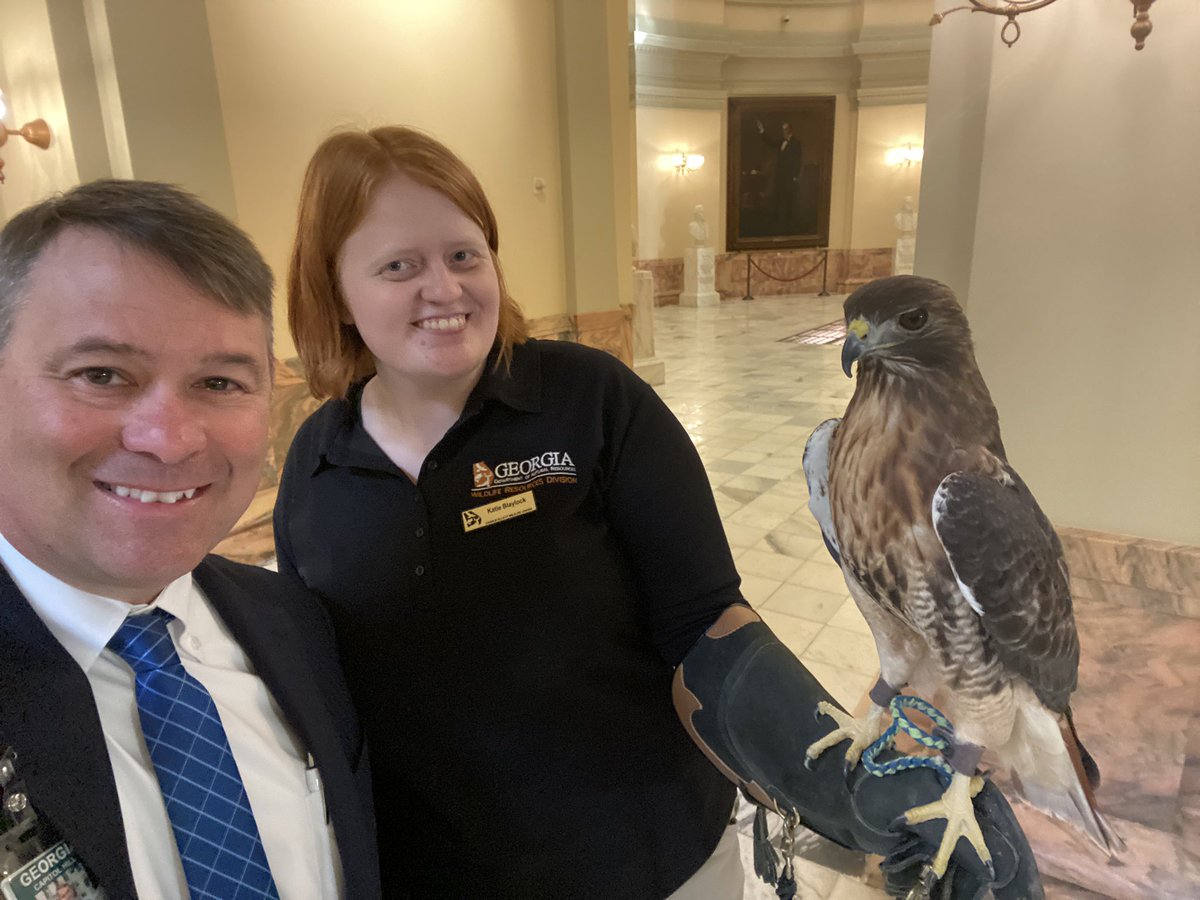 Legislative Day 3 - “House Hawks” aren’t back, but this Red-tailed Hawk was visiting the Capitol today to highlight the great work of the Georgia Department of Natural Resources. Go Fish! 🎣 🦃 🦌