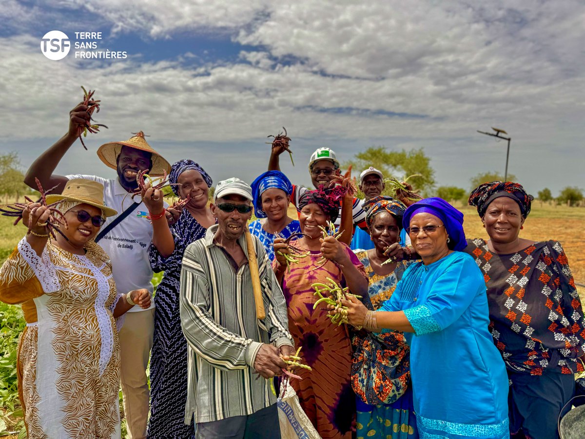 Terre Sans Frontières tweet media