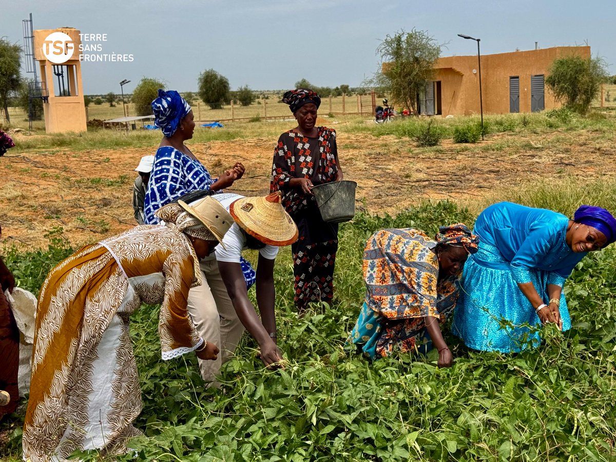 Terre Sans Frontières tweet media