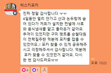 🎉🎉🥳🥳🎊🎊
포카 찾았습니다! (유실 3일 경과)

관심 가져주신 분들 모두 감사합니다. 아래 트윗은 곧 삭제 예정입니다. 아직 가족의 품으로 돌아가지 못한 동물이 150마리가 넘습니다. 잃어버린 동물 찾은 일을 함께 하고싶으신 분 오픈채팅방으로 들어와주세요! 아니면 그냥 지해피독이 어떻게