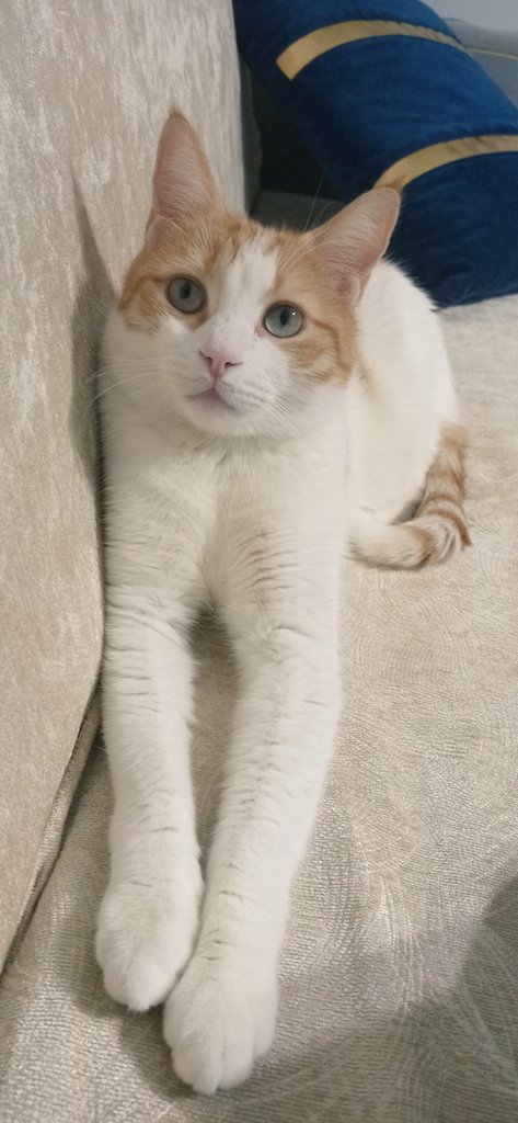 Gülşah tweet media